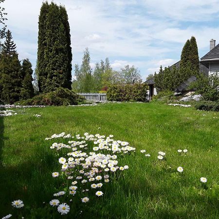 Alejas Namins Villa Jurgi Dış mekan fotoğraf