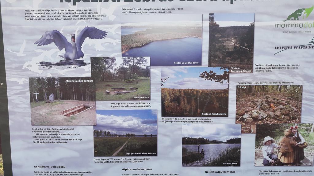 Alejas Namins Villa Jurgi Dış mekan fotoğraf